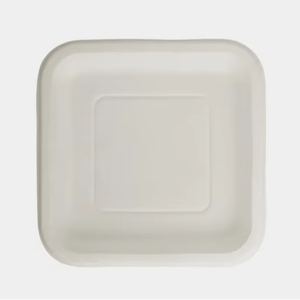 Assiettes jetables en bagasse compostable de qualité supérieure, écologiques, compatibles micro-ondes et congélateur, étanches pour la restauration - Product Image 1