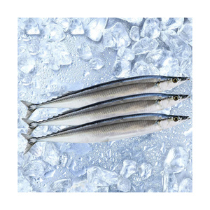 Embalaje al por mayor de Frozen Pacific Saury disponible para restaurantes de todo el mundo - Product Image 5
