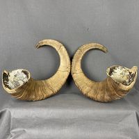 Corne de Shofar en Corne de Buffle Faite à la Main, Polie, Écologique, de Qualité Supérieure, Décoration Religieuse pour les Fêtes et Halloween, Grossiste Japonais