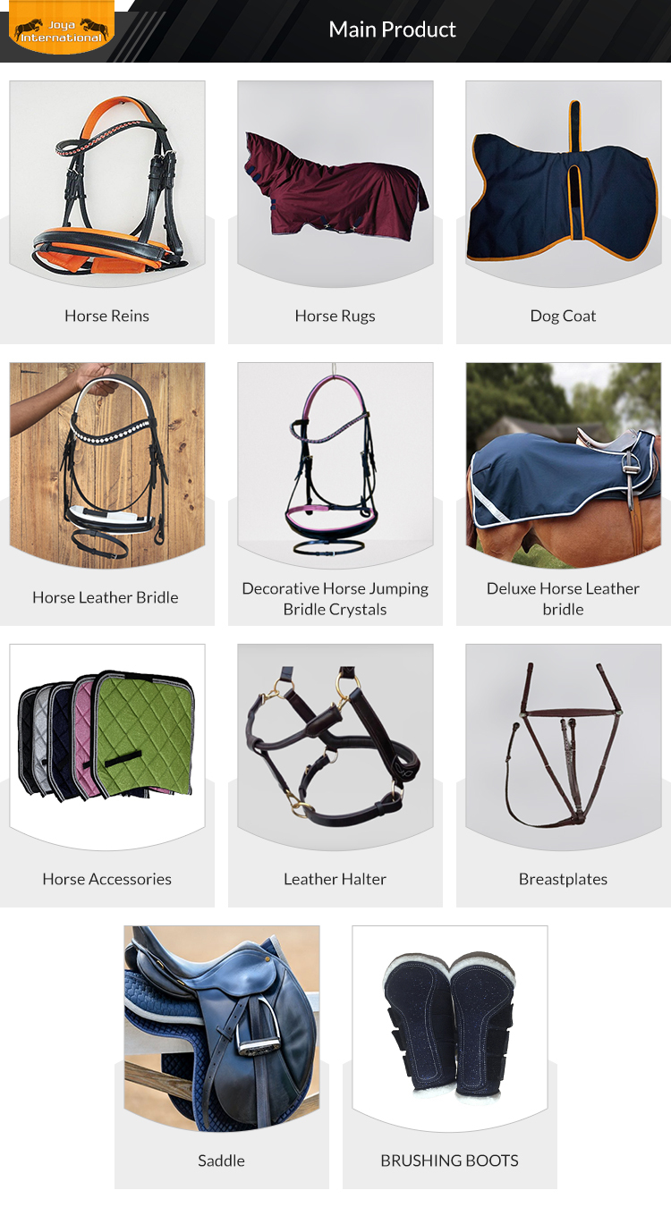 Bosal Vintage En Cuir Brut Tressé – Pièce équitation D'occasion – Authentique
