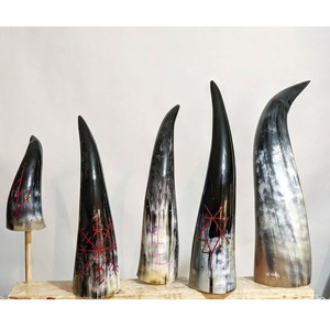 Auténtico Cuerno Vikingo para Beber, Cuerno Natural, Taza Nórdica para Cerveza o Hidromiel - Product Image 3