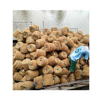100% matériaux biodégradables filet de fibre de coco tapis de coco vietnamien tapis de coco de haute qualité-corde de coco pour pavage de route