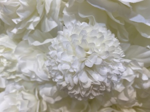 Rose artificielle <span class=keywords><strong>mini</strong></span> buissons de fleurs tenture murale fleurs blanches toile de fond décoration de mariage fleurs séchées mur - Product Image 4