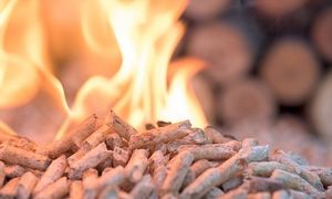 Briquettes de bois de pin de 50 mm à haute efficacité, 100 % cendres, 0 % humidité, densité 50, 100 J par calorie, pour poêle à granulés - Product Image 3