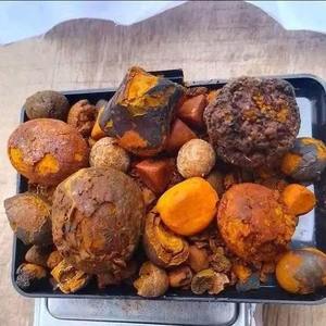 Calculs biliaires de vache de qualité à prix de gros directement auprès de fournisseurs et exportateurs fiables - Product Image 3