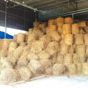 100% Nature Rouleaux de paille du Vietnam de haute qualité écologique, organique, déchets agricoles, stabilisation de la solution biodégradable - Product Image 5