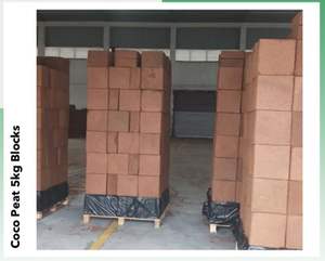 บล็อกปลูกมะพร้าวมะพร้าว5กก. สำหรับต้นกล้าและผู้ปลูกเรือนกระจก - Product Image 4