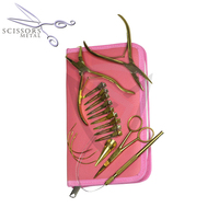 Kit d'outils pour extensions capillaires en acier inoxydable doré plasma, comprenant des ciseaux métalliques, des pinces à micro-anneaux réutilisables et un ensemble de couleurs personnalisables, vente en gros