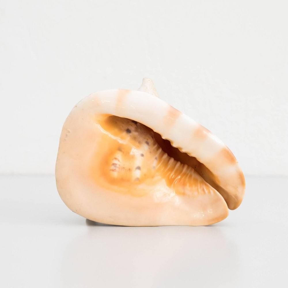 ธรรมชาติ