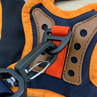 Ensemble harnais et laisse pour chien mignon Accessoires pour animaux de compagnie en maille de style mode du fournisseur vietnamien avec motif personnalisé