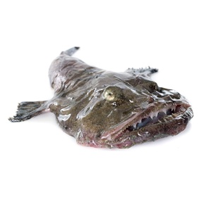Pescado Monzón Congelado Entero / Filetes – Pescado Congelado de Calidad para Venta al por Mayor - Product Image 5