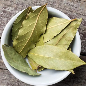 Hojas de Laurel Premium al por Mayor, 99%+ de Pureza, Certificación FSSAI/ISO, Especias Individuales, Hierbas Verdes Secas para Cocinar de Sunari Enterprises - Product Image 1