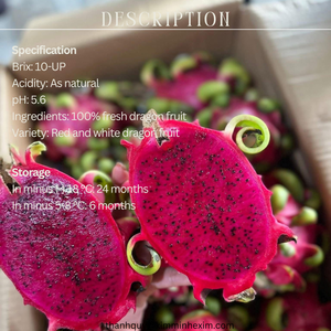 น้ำซุปข้นผลไม้มังกรแดงแช่แข็งจากเวียดนามราคาโรงงานสำหรับผู้นำเข้า - Product Image 2