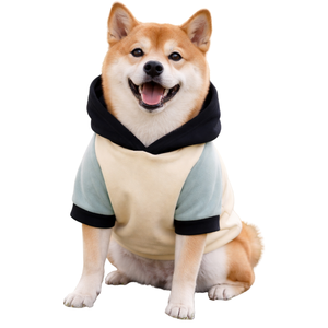 Sudadera con Capucha para Perro en Color Verde Polvo y Marfil, Suave Felpa, Ajuste Cómodo para Uso Diario - Product Image 1
