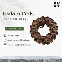 Kerajinan DIY Potpourri dari Kulit Badam Organik Ramah Lingkungan Berkualitas Tinggi untuk Dekorasi Acara Dalam/Luar Ruangan - Pabrik Bunga Kering Kosmik