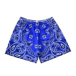 2025 couleurs personnalisées imprimé hommes maille Bandana sec 100% Polyester personnalisé Paisley impression maille basket-ball Shorts DDP expédition - Product Image 1