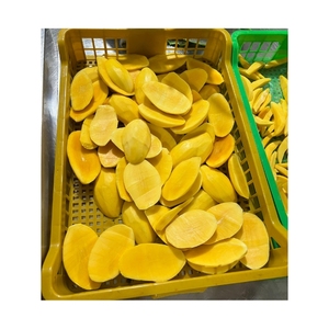 VENTE CHAUDE Mangue surgelée de qualité immaculée pour régime alimentaire végétalien et collation énergétique délicieuse pour la randonnée en plein air - Product Image 5
