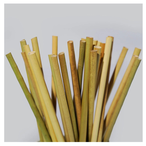 Pajitas de bambú natural de Vietnam, pajitas de caña biodegradables, aptas para alimentos, precio de exportación al por mayor - Product Image 2