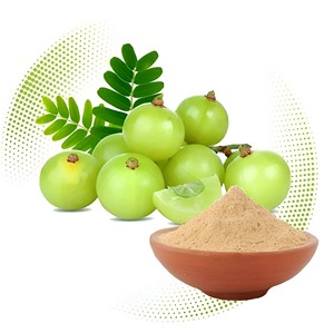 Extrait de poudre d'Amla certifié biologique Emballage de tambour d'aloe vera à base de plantes de haute qualité - Product Image 1