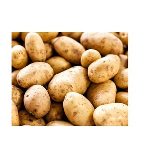 มันฝรั่งสดออร์แกนิกสำหรับ100% - Product Image 1