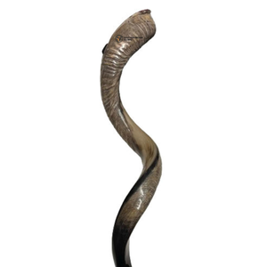 Vente en gros de corne de bélier naturelle Shofar artisanale corne d'animal décorative pour la maison et les magasins de cadeaux - Product Image 1
