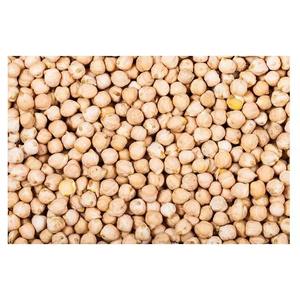 Pois chiches Pois chiches naturels de qualité supérieure biologiques en gros/pois chiches Kabuli - Product Image 1