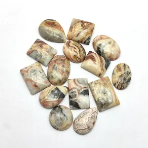 14 pièces naturel fou dentelle agate 10-20mm ovale poire ronde Rectangle Cabochon 51.74 gms lot Iroc ventes taille libre mélange forme pierre précieuse