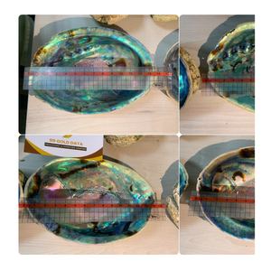 Conchas de abulón naturales de Vietnam Precio a granel para Shell Bowl Craft y productos de creación de productos decorativos para el hogar Tan hermosos - Product Image 2