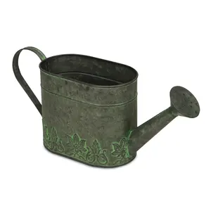 Nouveau design outils de jardin durables arrosoir en métal de qualité supérieure Look moderne arrosoir en gros prix abordable - Product Image 3