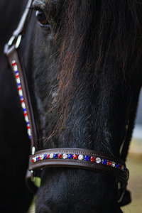 Licol équestre en cuir pliant Bling Holland Brown Cuir de cheval multifonctionnel Design intelligent - Product Image 3