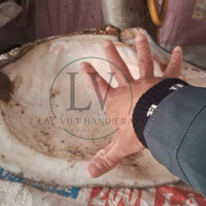 Cuillère de service en nacre de qualité supérieure pour le caviar, cuillère à long manche en coquille, fabriquée au Vietnam - Product Image 4