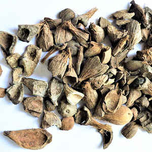 Produit de déchets agricoles en coquille de palmiste | Biomasse de coquille de noyau de palmiste | Qualité d'exportation - Product Image 3