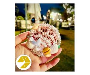 กระจกเปลือกหอยที่ทำด้วยมือสำหรับการตกแต่งบ้านแนวชายฝั่งสมัยใหม่กระจกเปลือกหอยที่มีเอกลักษณ์ไม่เหมือนใครจากเวียดนามพร้อมเปลือกหอยทะเลขัดเงา - Product Image 2