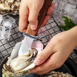 Cuchillo de acero inoxidable para almejas y mariscos con mango de madera - Product Image 5
