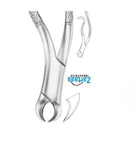 Fórceps de extracción de acero inoxidable de alta calidad, molares inferiores para niños Fig 16S, exportadores y fabricantes - Product Image 5