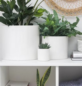 Ensemble de pots de fleurs en céramique blanche minimaliste, porte-plantes décoratif d'intérieur durable, accent moderne pour la maison - Product Image 3