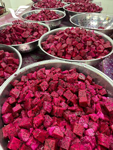 เนื้อนุ่มลายผลไม้มังกรตากแห้งที่อร่อยและดีต่อสุขภาพเหมาะสำหรับตลาดทั่วโลก - Product Image 5