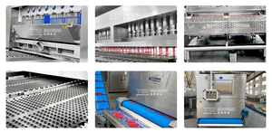 Eco-Friendly Automatic <b>Gummy</b> <b>Bear</b> Depositor for Multi-Flavor Organic Candy Production - Versatile Jelly Machinery - Product Image 2
