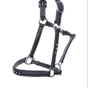 Licou de cheval rembourré en cuir véritable confortable noir avec laiton rose foncé Style de selle occidentale classique - Product Image 1