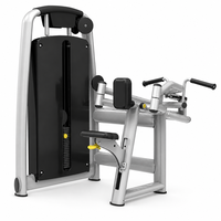 Máquina de Ejercicios para la Parte Superior de la Espalda con Peso de 100 kg, Equipo de Gimnasio para Fortalecimiento Muscular