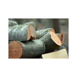 Bois de chauffage de hêtre en vrac fourni pour l'achat en gros prix abordable de qualité supérieure - Product Image 1