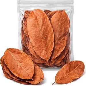 Hojas de Almendro Indio del Océano Atlántico (Terminilia Catappa) 26 Hojas Ecológicas Ahorro de Energía 5W Bolsas de Escritorio para Peces Betta de Agua Negra - Product Image 5