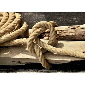 Tovaglia in Carta Professionale Nudo Print 30x42cm 80gsm - 250 Pezzi - B2B - Product Image 1