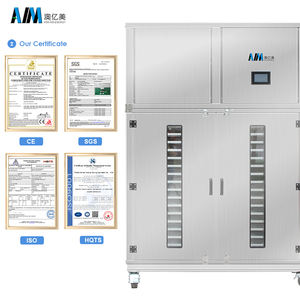 Déshydrateur alimentaire commercial et industriel / Machine de séchage pour fruits, légumes, viande, équipement de séchage à grande échelle - Product Image 4