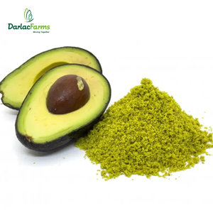 Polvo de Jugo de Aguacate de Grado Alimenticio, Polvo de Aguacate Instantáneo de Vietnam, Empaque a Granel - Product Image 1