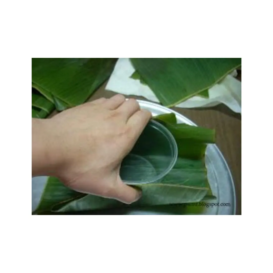 Banana Fresh Leaf - Sustainable Banana Leaf Food Wraps - Top Produtos Venda Quente Agricultura