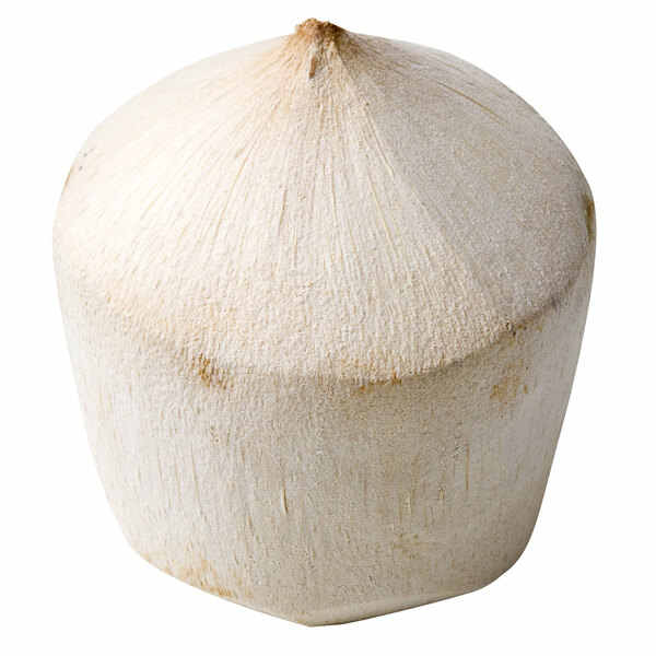 Wholesale High Quality Fresh Coconut Water Export Large Quantities From Vietnam