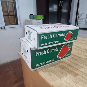 Exportador de verduras frescas orgánicas de Vietnam, venta al por mayor de zanahorias congeladas, distribución mundial - Product Image 3