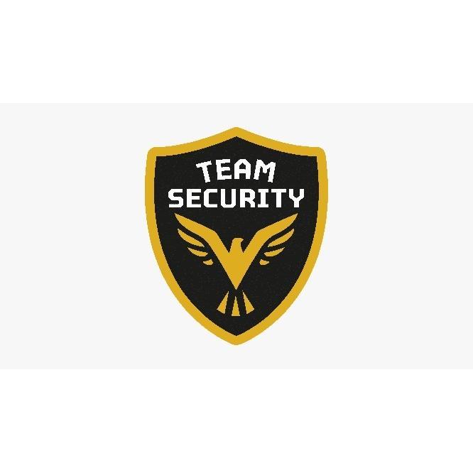 Team Security s.r.l.s logo