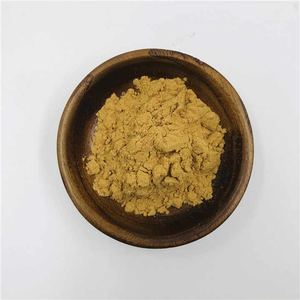100% poudre de coriandre moulue indienne de qualité alimentaire pure de qualité supérieure assaisonnement d'épices culinaires naturelles qualité d'exportation Coriandrum Sativum - Product Image 2
